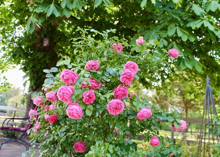 Stilvolles Mit Flair Дом отдыха Menslage